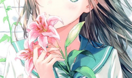 动漫超清手机壁纸,捕捉光影之美，沉浸梦幻世界